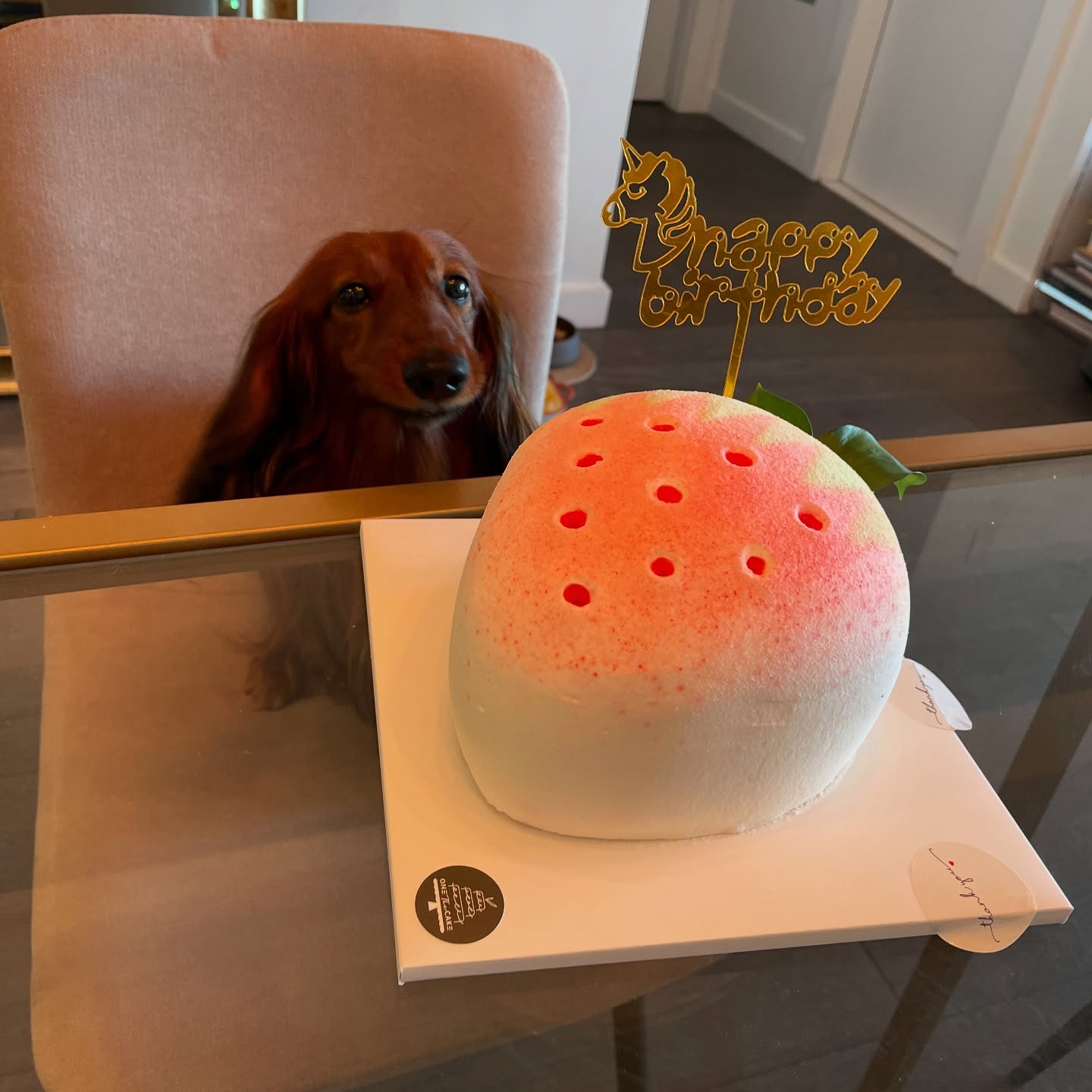 Safari sitting behind a strawberry-shaped birthday cake